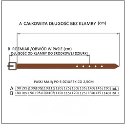 Skórzany dwustronny pasek męski Pierre Cardin 70447