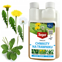 Oprysk Środek Na Chwasty W Trawie Target Starane