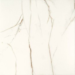 Płytka podłogowa Floris White 61 x 61 cm