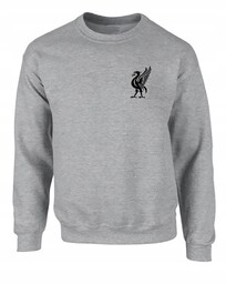 Liverpool Fc, bluza, bez kaptura, 12-14lat 152cm