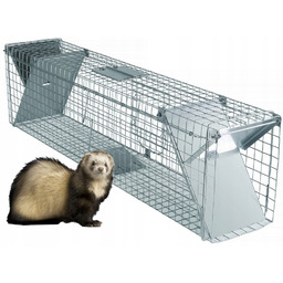 Żywołapka Pułapka Kuny, Wydry, Norki, Szczury Tchórze ,