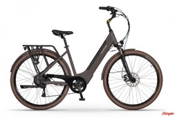 Ecobike Rower elektryczny X-City, Greenway 36V 14,5 Ah