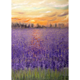 Obraz na płótnie 100 x 70 cm Pole