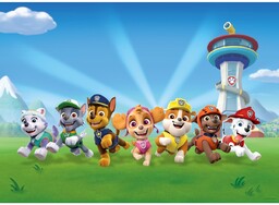 Fototapeta dziecięca Paw Patrol 252 x 182 cm,