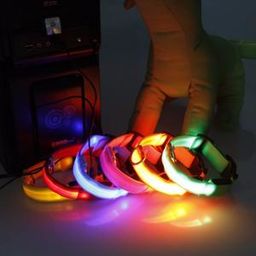 Reedog USB świecąca obroża dla psów i kotów