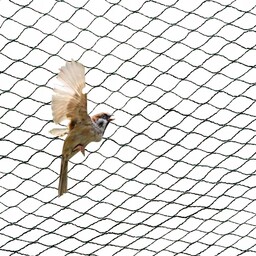Mocna Siatka przeciw Ptakom na Balkon na Drzewka