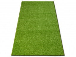 Dywan INVERNESS zielony 610 95x160 cm