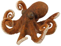 Osmiornica XL