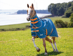 Shires Equestrian Derka padokowa z kołnierzem Tempest Orginal