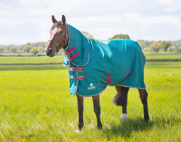 Shires Equestrian Derka padokowa Tempest Orginal Air MOTION