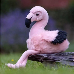 Pluszowy flaming Zabawka dla dzieci