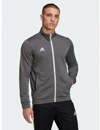 Męska Bluza Treningowa Adidas ENTRADA 22 Popielata