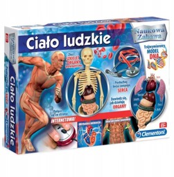 Clementoni cialo ludzkie 60249