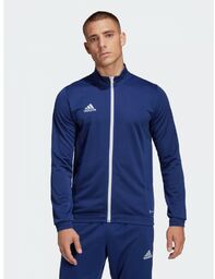 Męska Bluza Treningowa Adidas ENTRADA 22 Niebieska