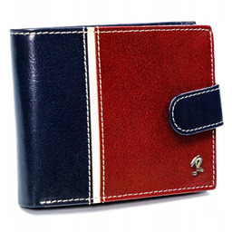 Pojemny Zgrabny rozbudowany męski portfel Rovicky