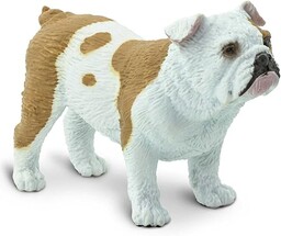 Safari S250729 ''Best in Show'' pies buldog miniaturowy