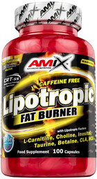Amix, Lipotropic Fat Burner, spalacz tłuszczu, 100 kaps