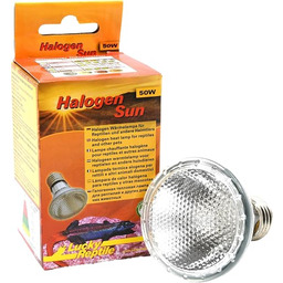 Lucky Reptile Halogen Sun dwupak - Promiennik ciepła