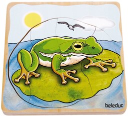Puzzle Jak rozwija się żaba?
