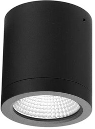 Lampa sufitowa CONYON IP54 10W CCT SWITCH BK