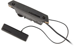 Fishman PowerTap Earth PRO-REP-104 Przystawka Gitarowa