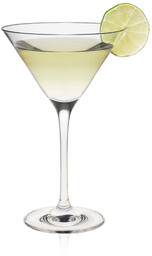 Kieliszek do martini 210 ml - Rona Edition