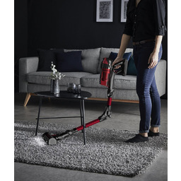 Odkurzacz ROWENTA RH98A9WO