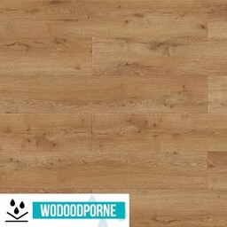 Panele winylowe SPC BARLINEK NEXO LIVING DĄB LIVO