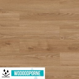 Panele winylowe SPC BARLINEK NEXO LIVING DĄB LUMO