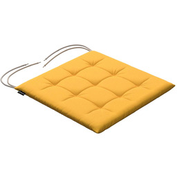Poduszka na krzesło Karol, żółty, 40 x 40