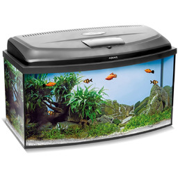 AQUAEL Zestaw Akwarystyczny Classic Box 80/O D&N