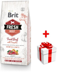 Brit Fresh Beef & Pumpkin Puppy Large Growth