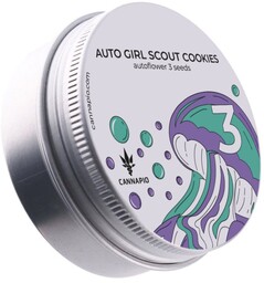 Auto Girl Scout Cookies - nasiona autokwitnące 3