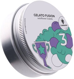 Gelato Fusion - nasiona autokwitnące 3 szt. Cannapio