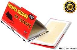 Pułapka klejowa na szczury