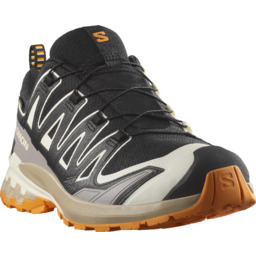 BUTY MĘSKIE SALOMON XA PRO 3D V9 GTX