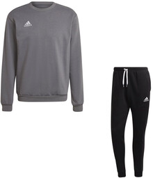 Dres sportowy, bawełniany adidas Entrada 22 męski szary/czarny