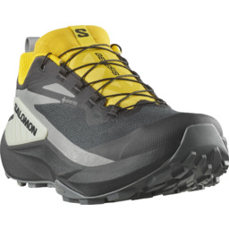 BUTY MĘSKIE SALOMON GENESIS GTX M 479780