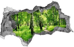 naklejka fototapeta 3D widok Brzozowy las