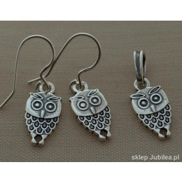 Srebrny komplet SOWA