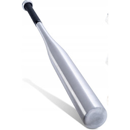 Kij baseballowy z aluminium 80 cm Srebrny 31