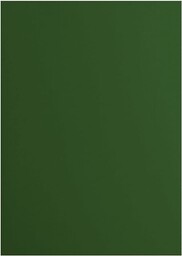 Vaessen Creative 2927-078 Florence Cardstock papier, zielony, 216