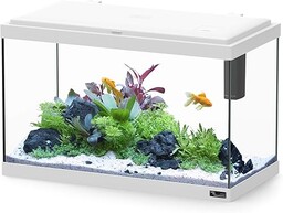 Aquatlantis Aquarium Explorer Wiedeń biały, 1 opakowanie (1