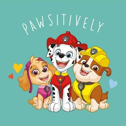 Carbotex Ręcznik magiczny 30x30 cm Psi Patrol pieski