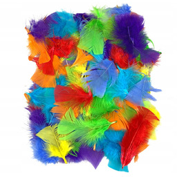 Piórka Do Prac Kreatywnych Dekoracyjne Ozdobne Pióra Kolorowe