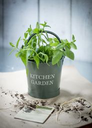 Garden Trading Wiadro Kitchen Garden