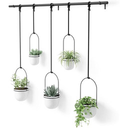 Umbra Wisząca donica na sukulenty, zioła i inne