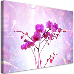 Obraz na płótnie, Eteryczna orchidea 90x60