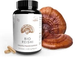 Pilze Wohlrab Grzyby reishi (500 mg) 100 kapsułek