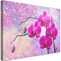 Obraz na płótnie, Eteryczna orchidea abstrakcja 90x60